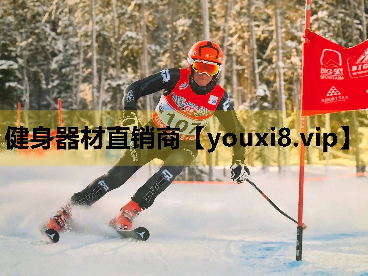 健身器材直销商