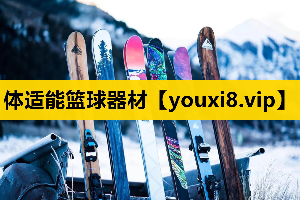 体适能篮球器材