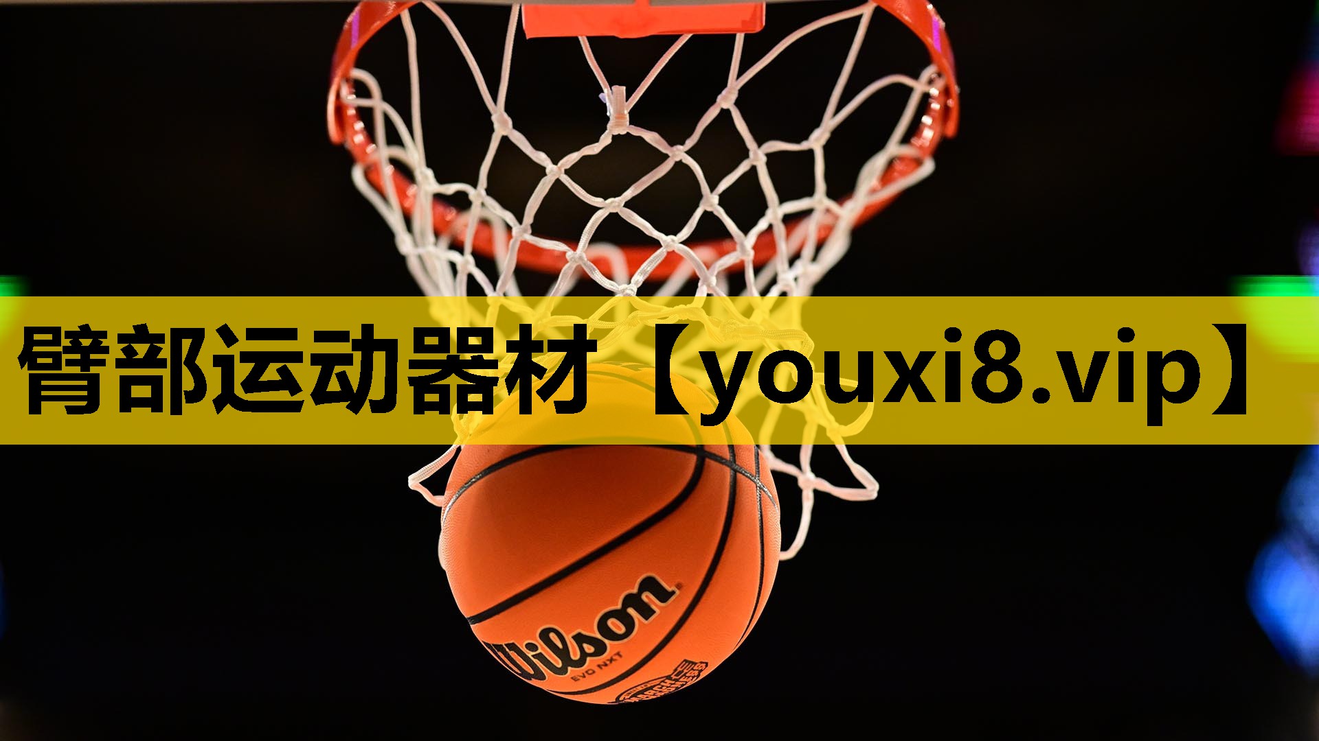 臂部运动器材