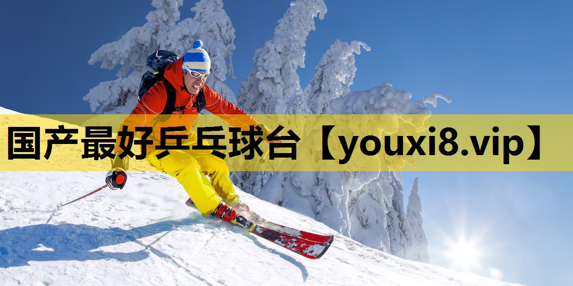国产最好乒乓球台