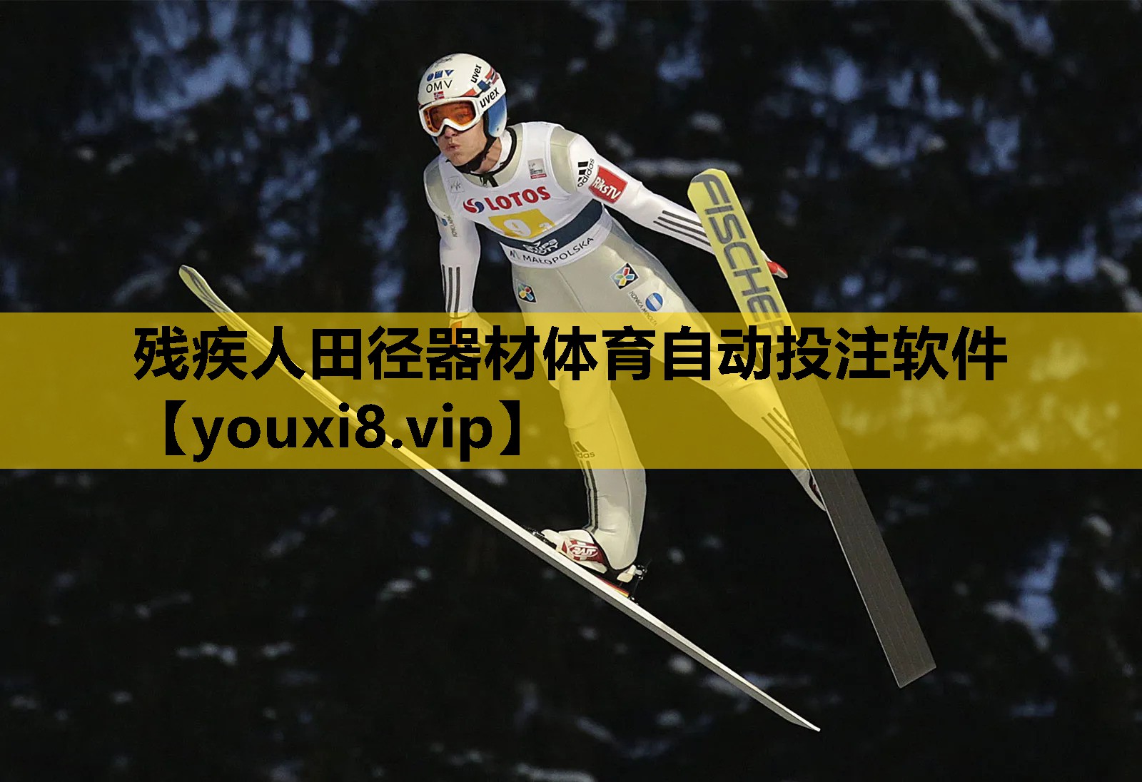 残疾人田径器材体育自动投注软件