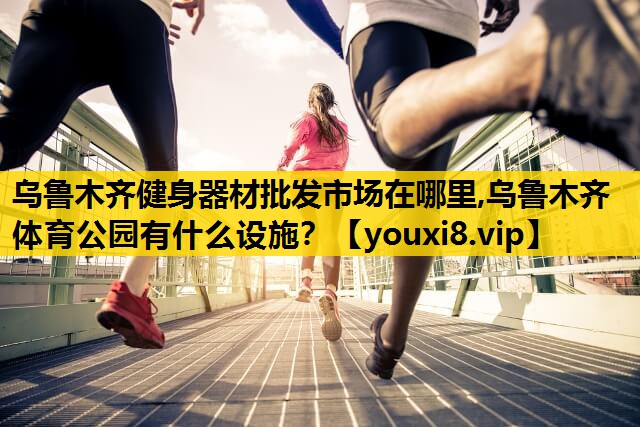 乌鲁木齐健身器材批发市场在哪里,乌鲁木齐体育公园有什么设施？
