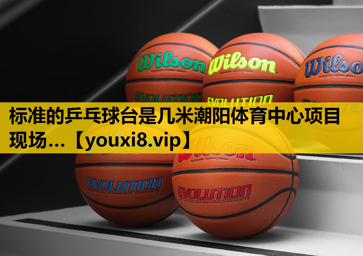 标准的乒乓球台是几米潮阳体育中心项目现场…