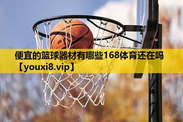 便宜的篮球器材有哪些168体育还在吗