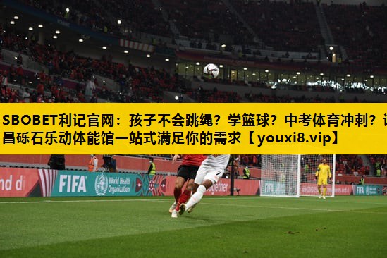 SBOBET利记官网：孩子不会跳绳？学篮球？中考体育冲刺？许昌砾石乐动体能馆一站式满足你的需求