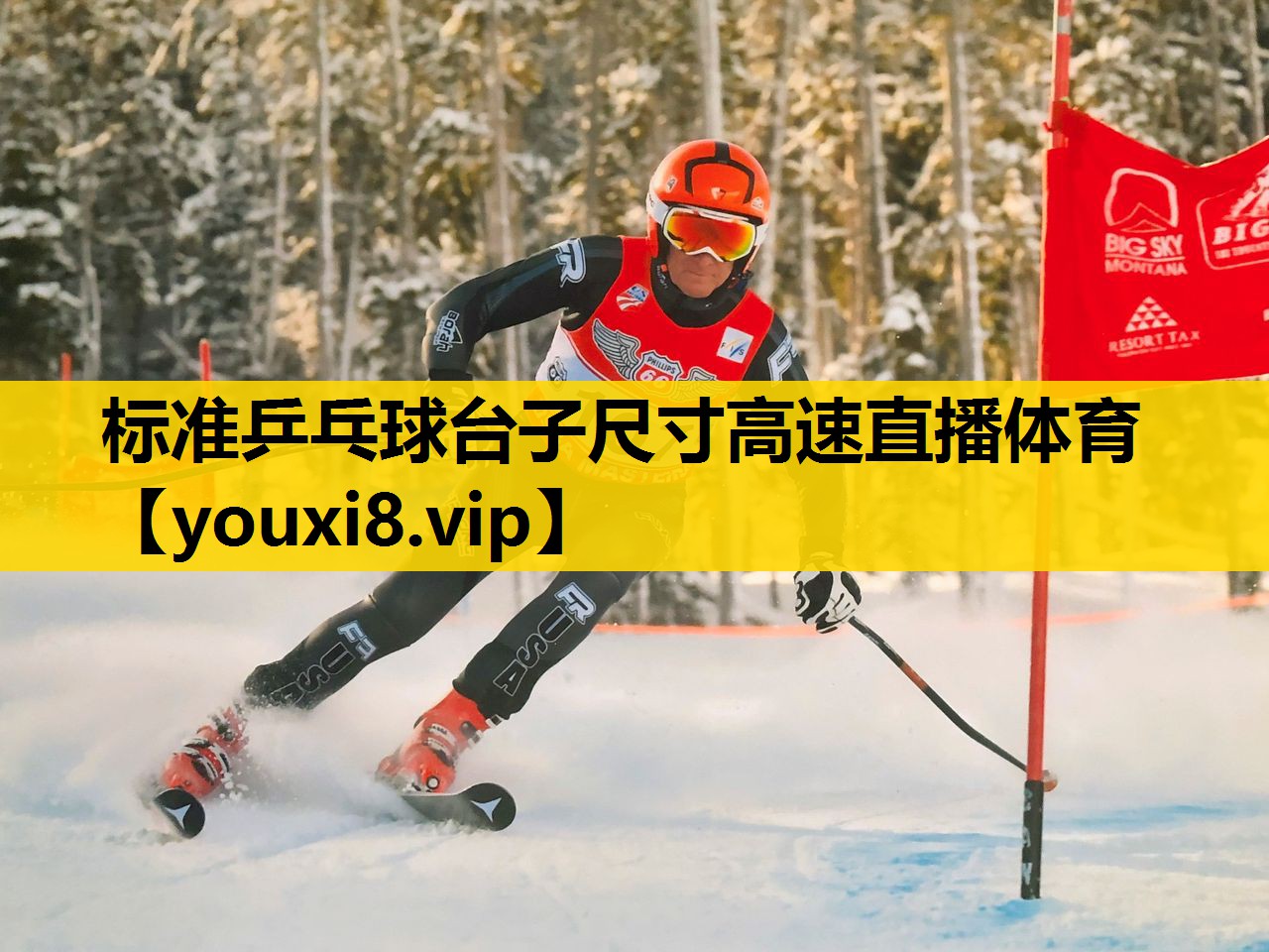 标准乒乓球台子尺寸高速直播体育
