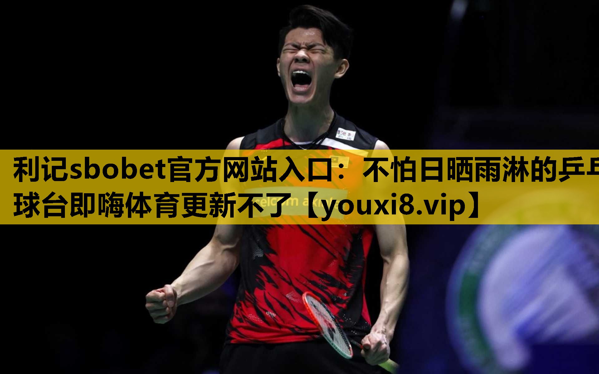 利记sbobet官方网站入口：不怕日晒雨淋的乒乓球台即嗨体育更新不了