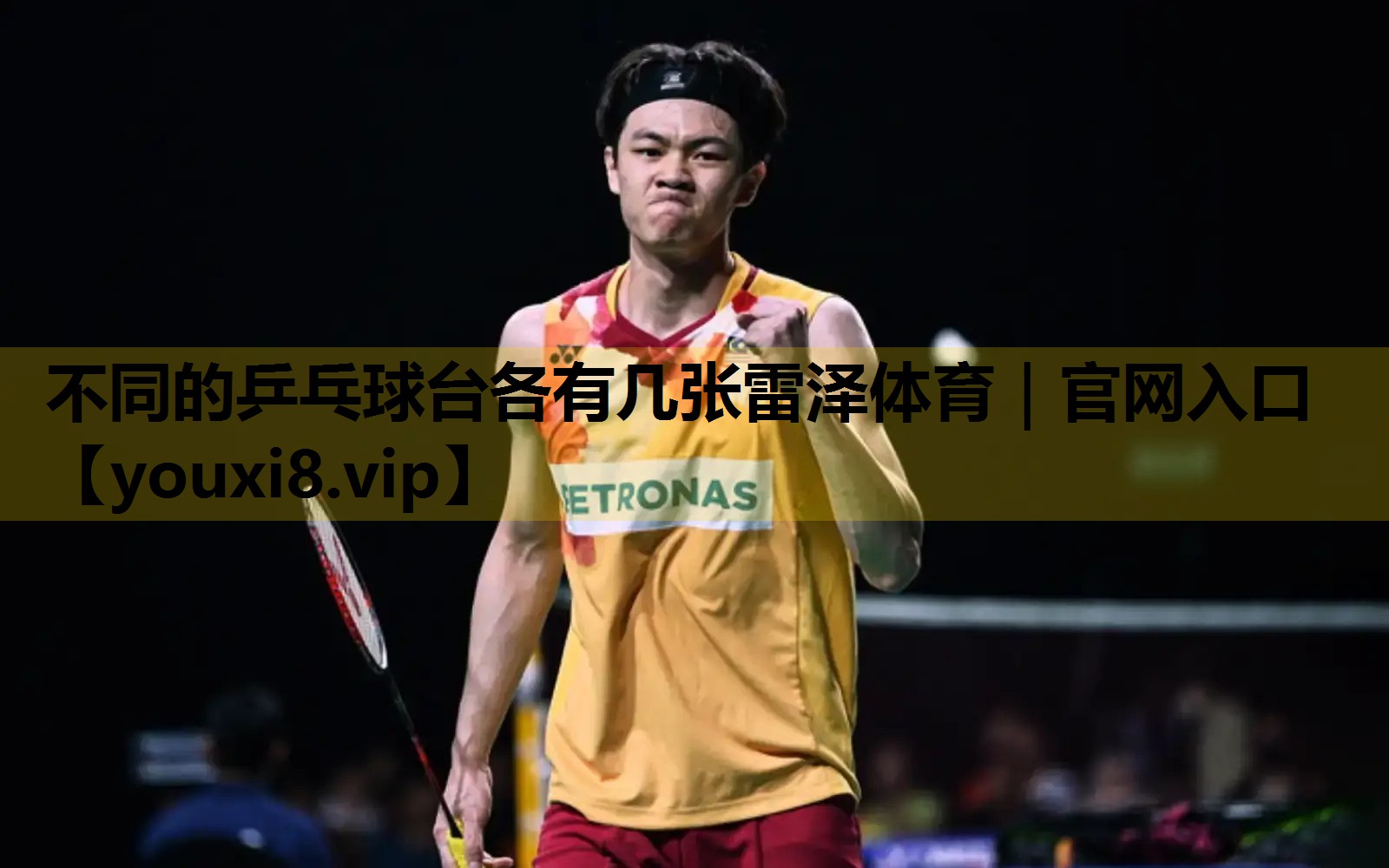 不同的乒乓球台各有几张雷泽体育｜官网入口