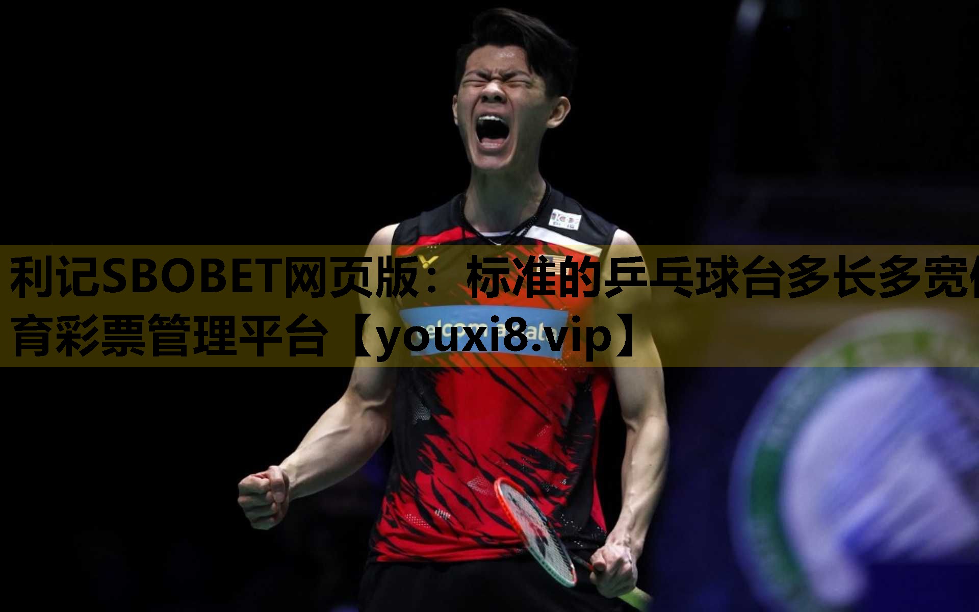 利记SBOBET网页版：标准的乒乓球台多长多宽体育彩票管理平台