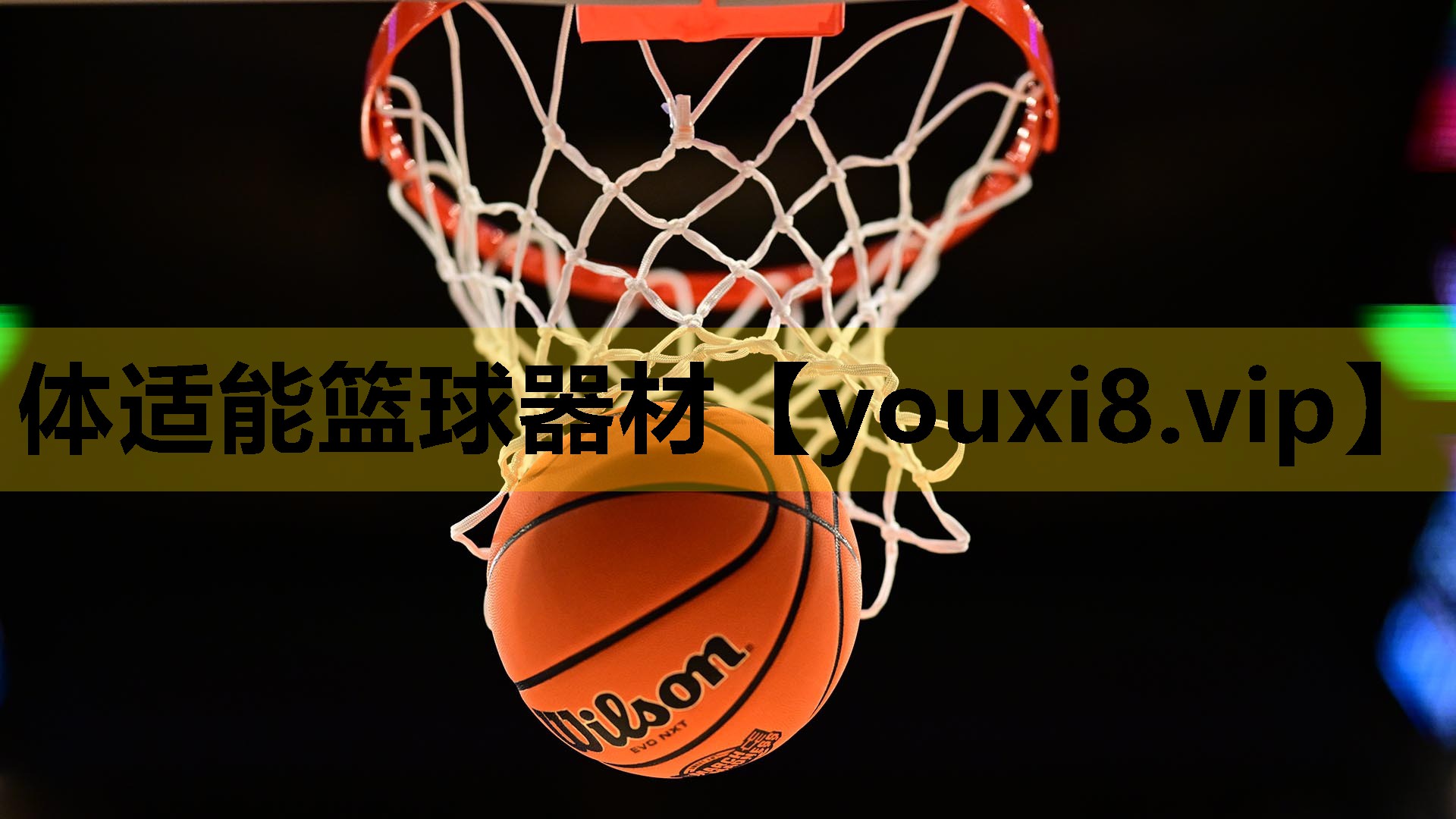 体适能篮球器材