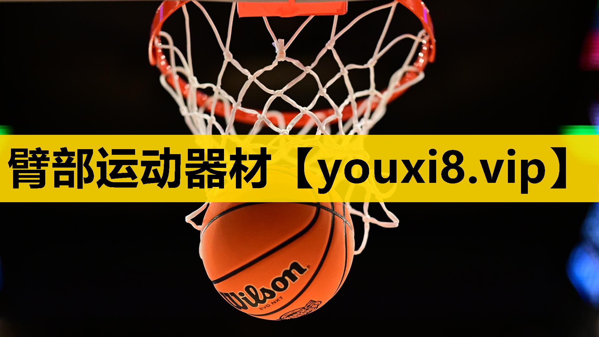 臂部运动器材
