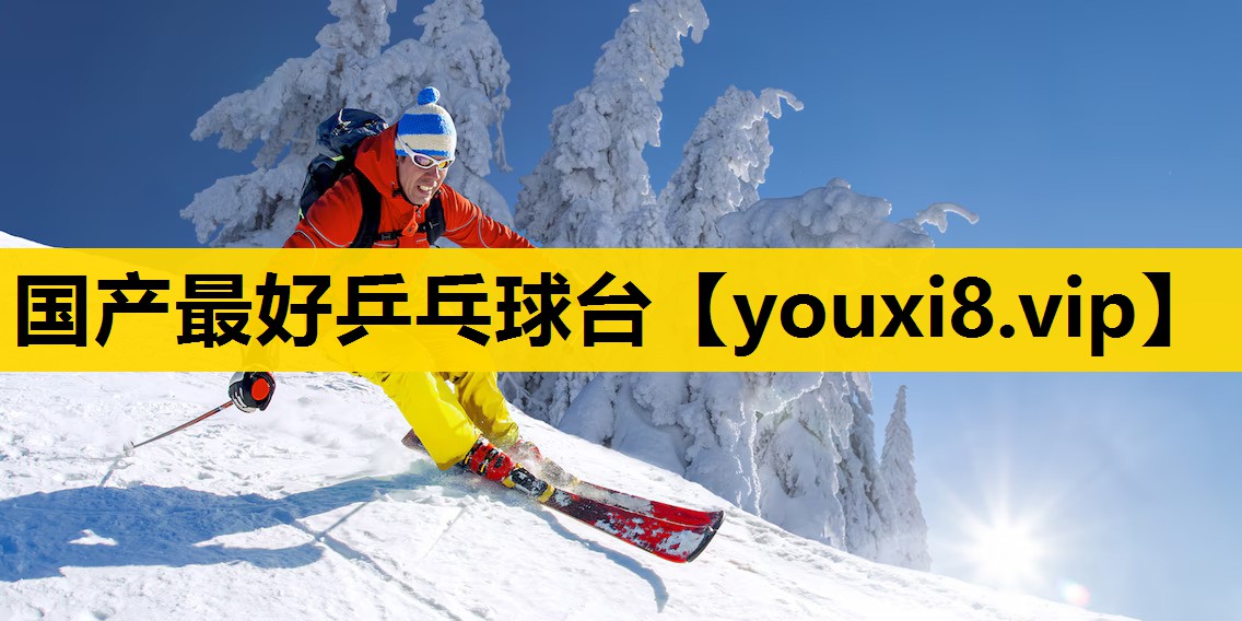国产最好乒乓球台
