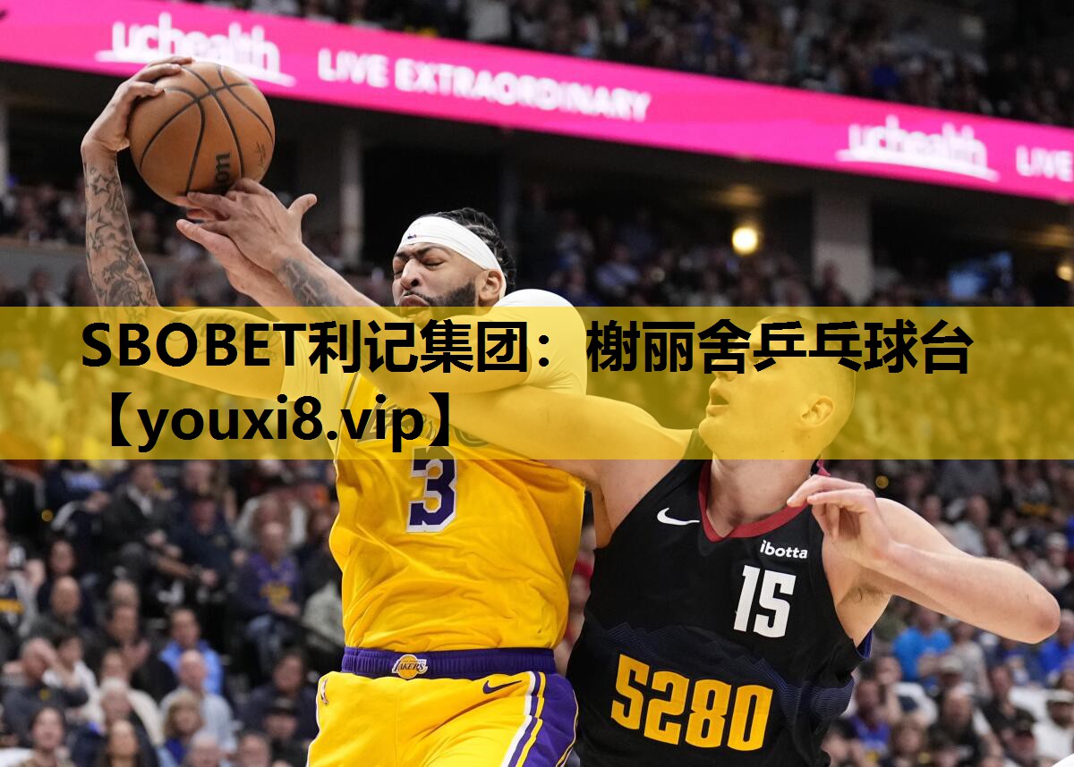 榭丽舍乒乓球台