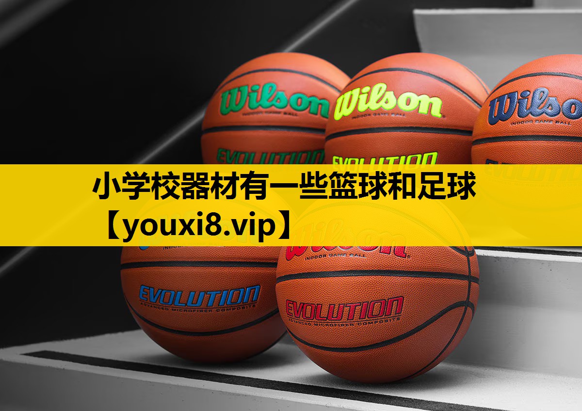 小学校器材有一些篮球和足球