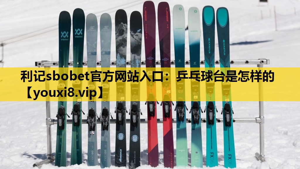 利记sbobet官方网站入口：乒乓球台是怎样的