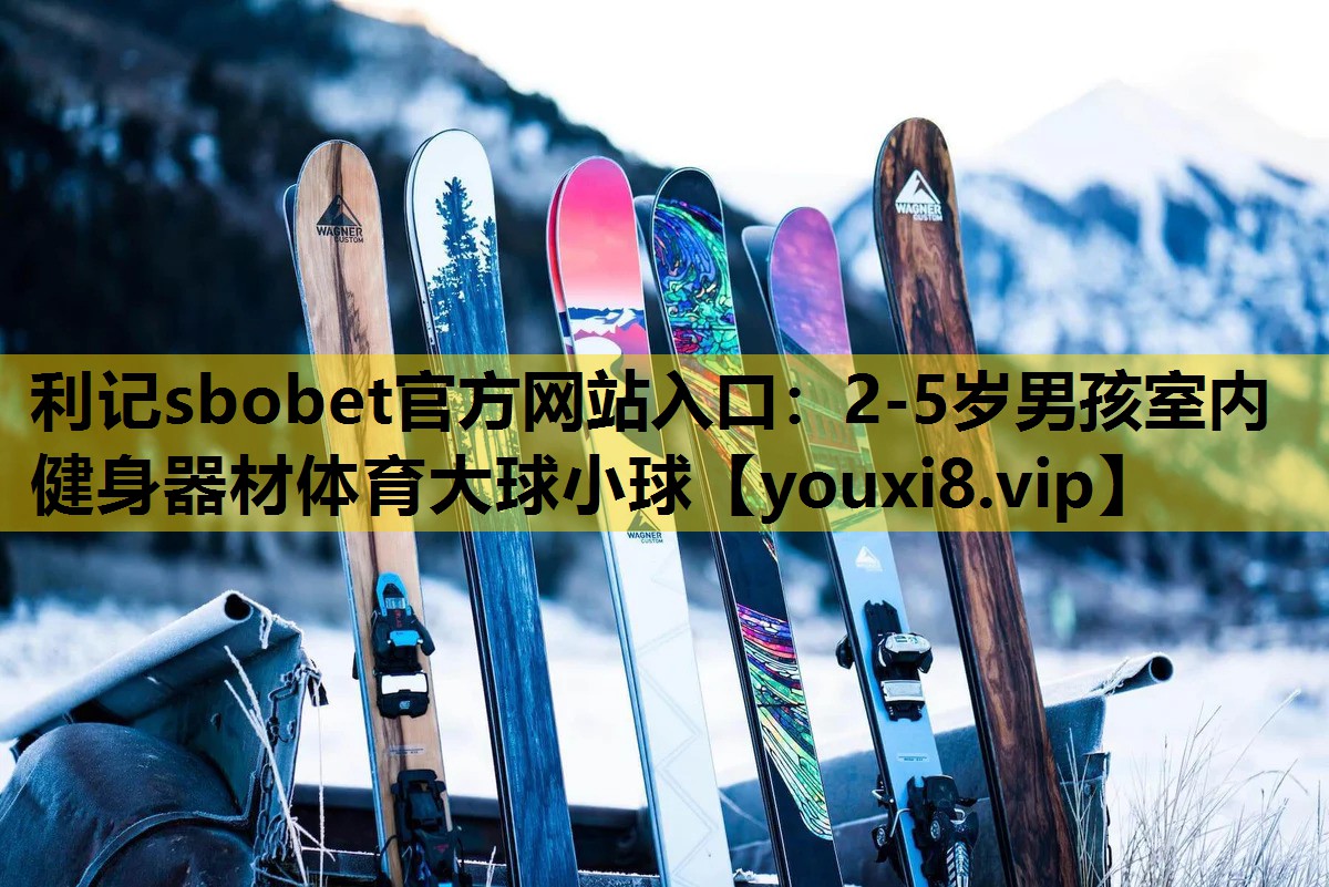 利记sbobet官方网站入口：2-5岁男孩室内健身器材体育大球小球