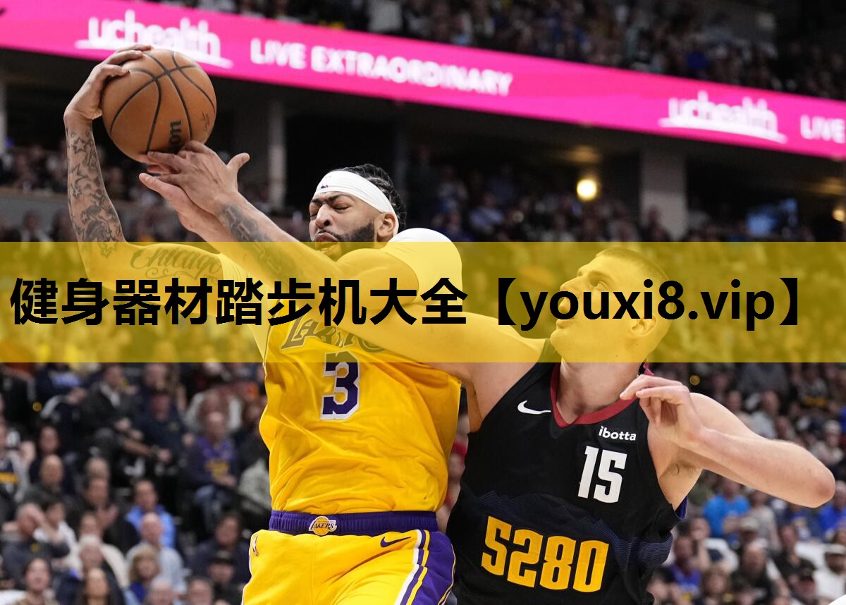 健身器材踏步机大全