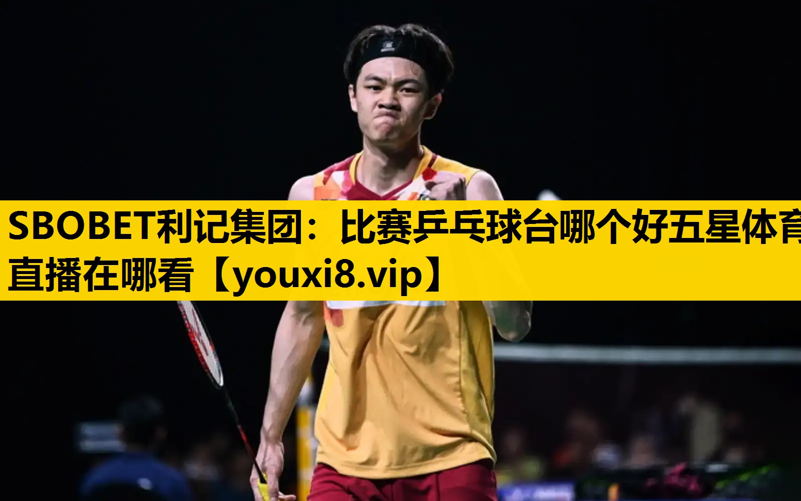 SBOBET利记集团：比赛乒乓球台哪个好五星体育直播在哪看