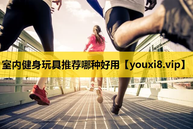 室内健身玩具推荐哪种好用