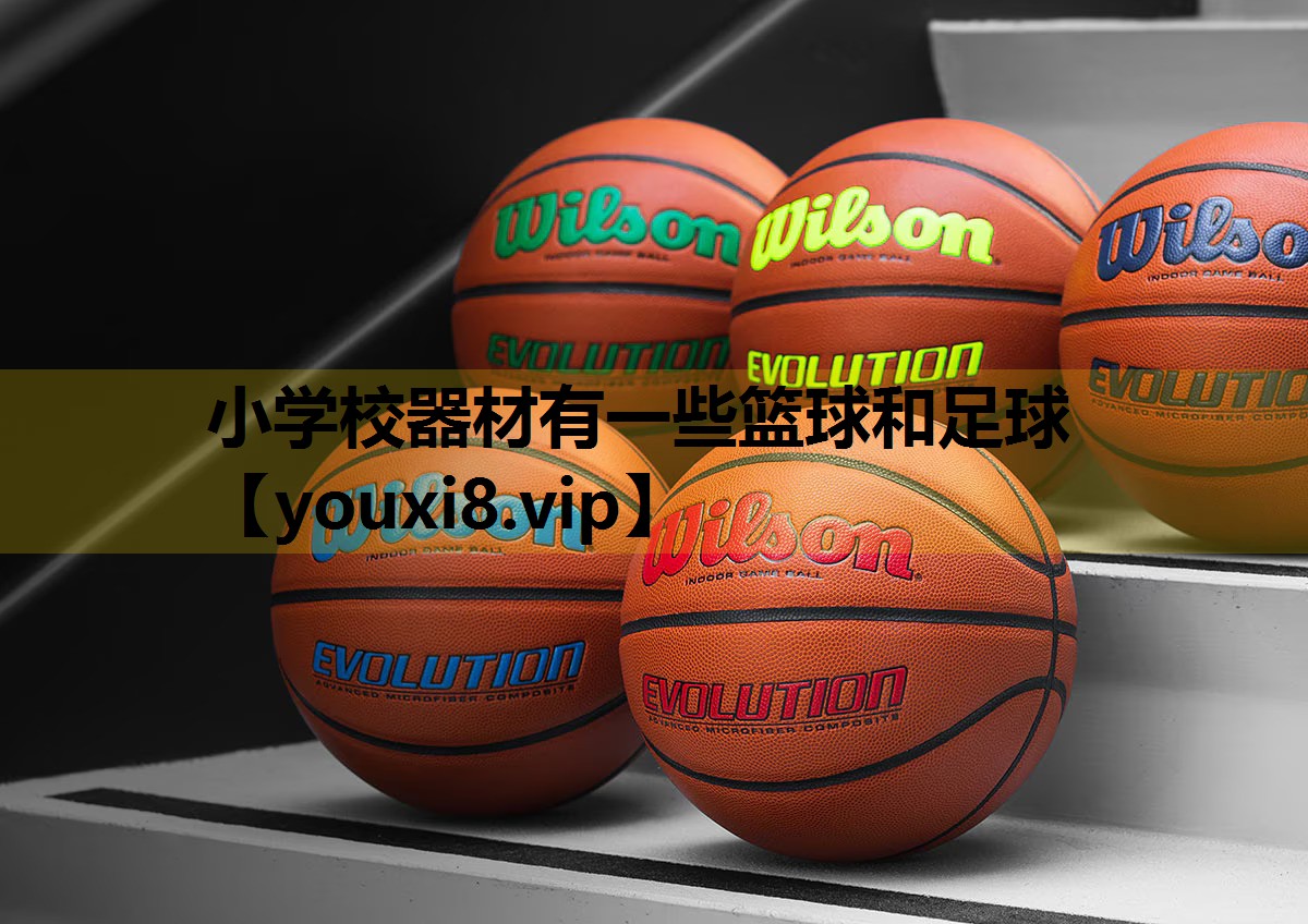 小学校器材有一些篮球和足球